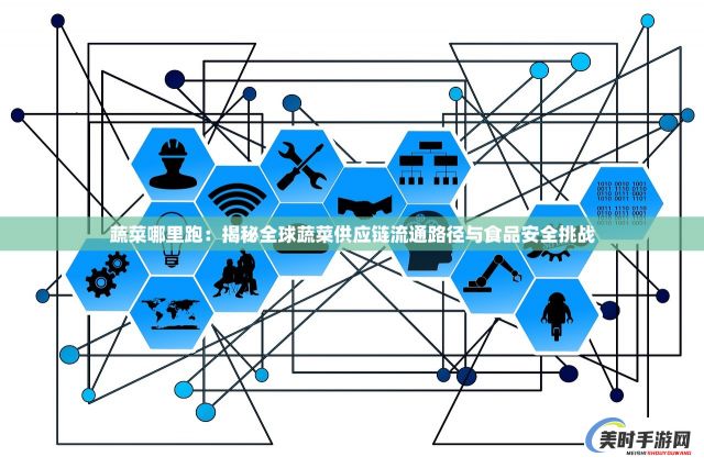 蔬菜哪里跑：揭秘全球蔬菜供应链流通路径与食品安全挑战